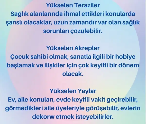 ven bal5 (3).webp