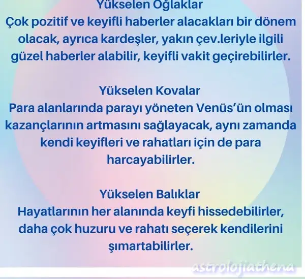 ven bal5 (4).webp