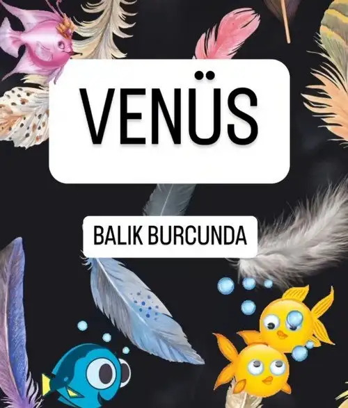 ven bal6 (1).webp