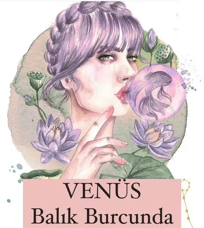 ven bal7 (1).webp