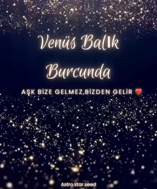 ven bal7 (1).webp
