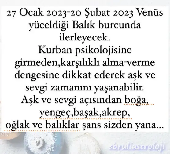 ven bal7.webp