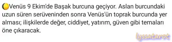 ven basak.webp