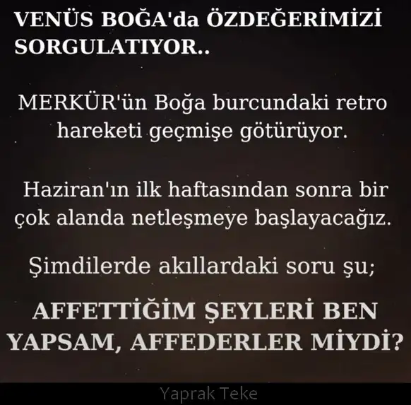 ven bog.webp