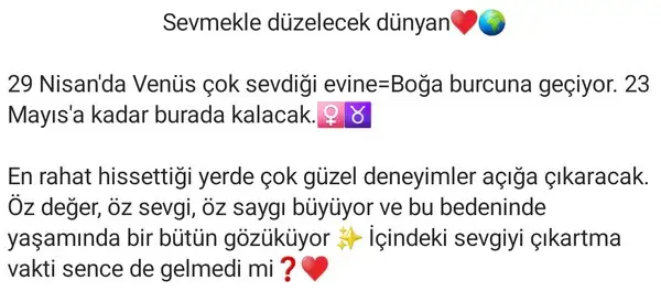 ven boğa (2).webp