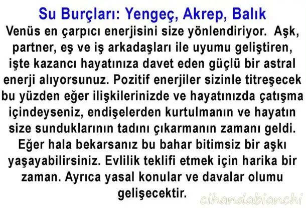 ven boğa (4).webp