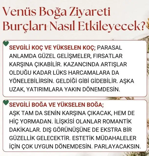 ven boğa12 (1).webp