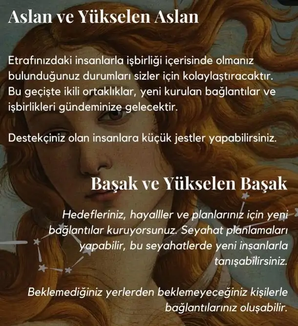 ven boğa12 (11).webp