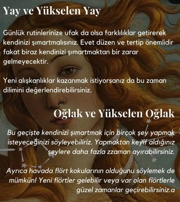 ven boğa12 (13).webp