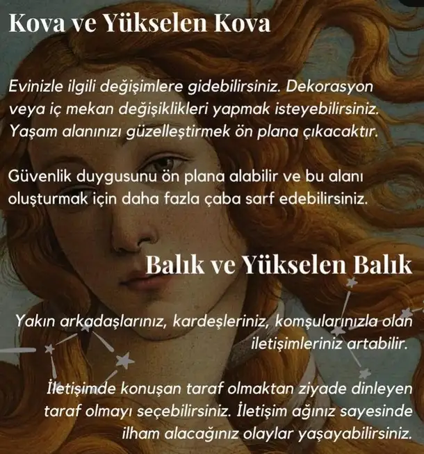 ven boğa12 (14).webp