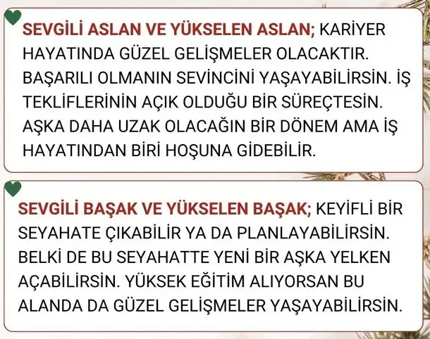 ven boğa12 (4).webp