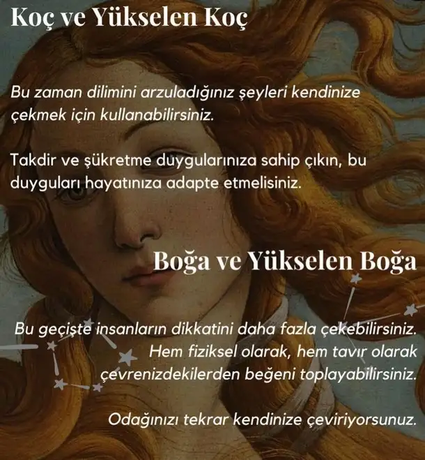 ven boğa12 (9).webp