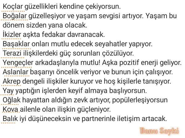 ven boğa15 (2).webp