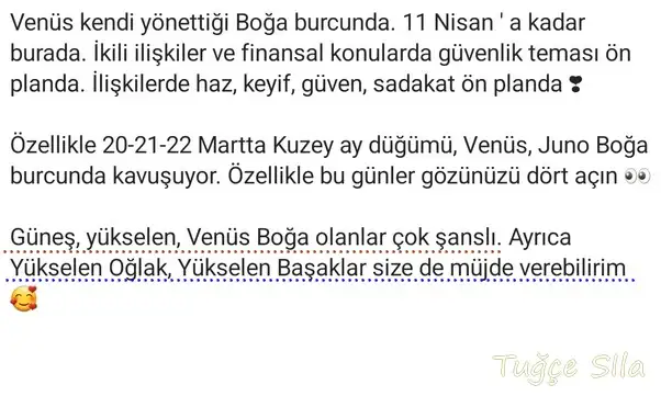 ven boğa19 (2).webp