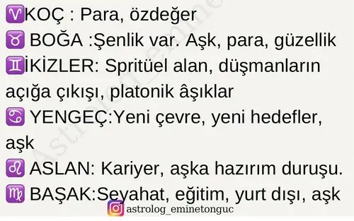 ven boğa6 (2).webp