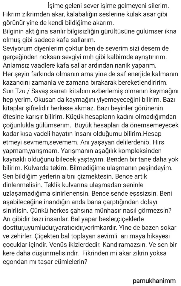 ven ik19 (2).webp