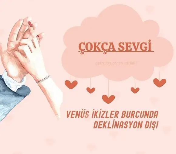 ven ikizler haziran (1).webp