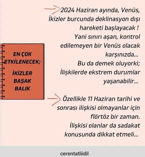 ven ikizler haziran (2).webp