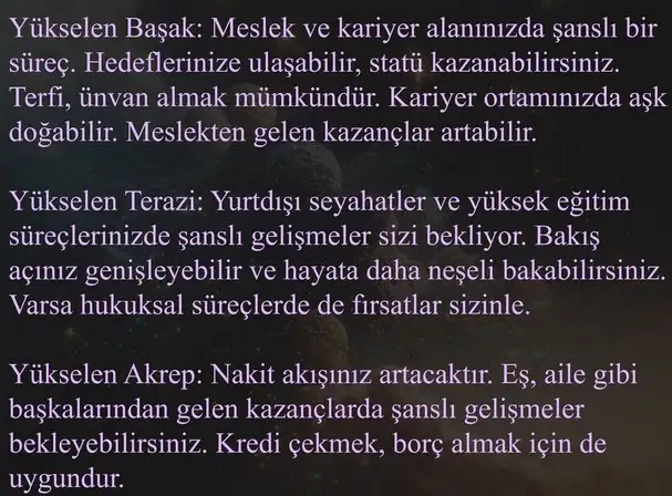 ven ikizler1 (5).webp