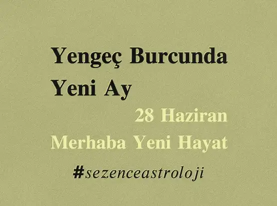 ven ikizler2 (1).webp