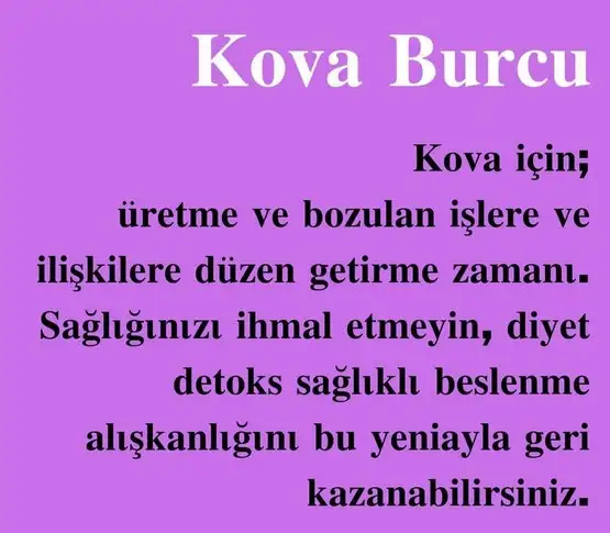 ven ikizler2 (11).webp