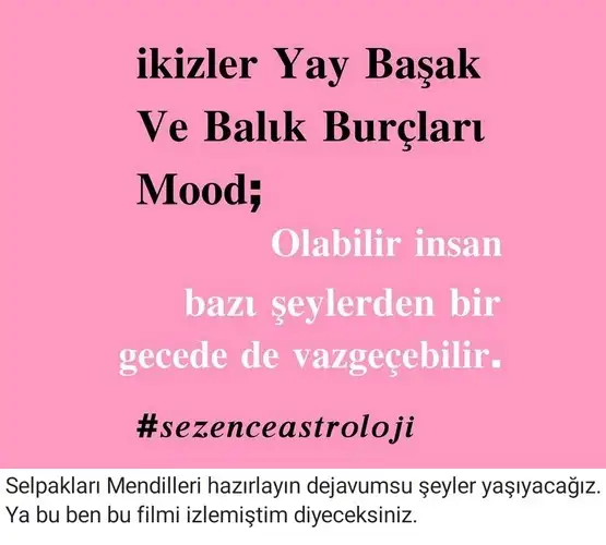 ven ikizler2 (12).webp