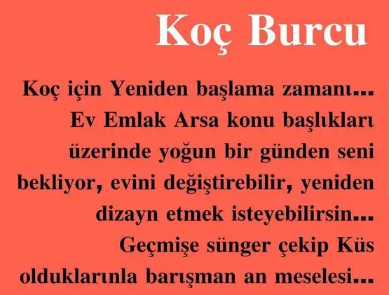 ven ikizler2 (3).webp