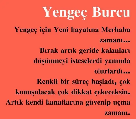 ven ikizler2 (4).webp