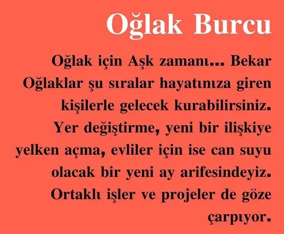 ven ikizler2 (6).webp