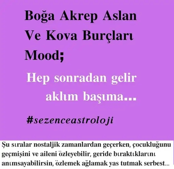 ven ikizler2 (7).webp