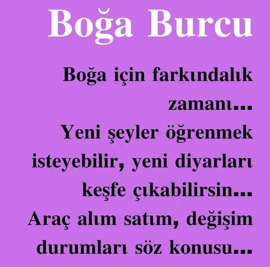 ven ikizler2 (9).webp