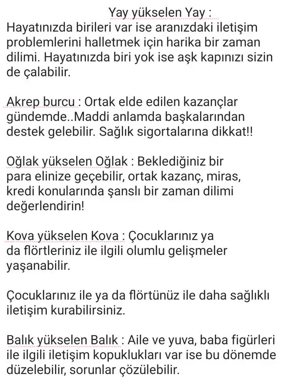 ven ikizler39 (4).webp