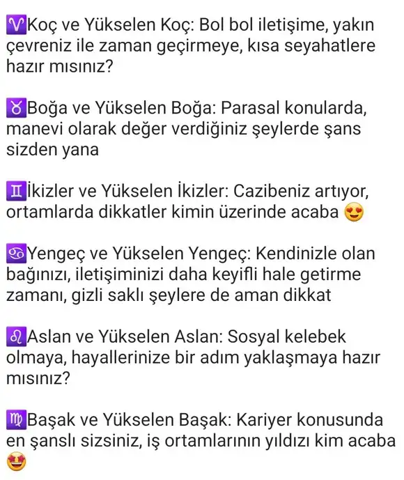 ven ikizler4 (2).webp