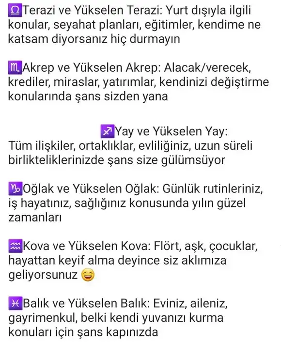 ven ikizler4 (3).webp