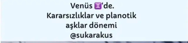 ven ikizler45 (1).webp