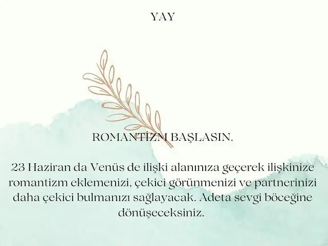 ven ikizler45 (10).webp