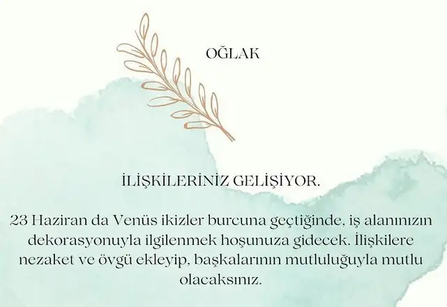 ven ikizler45 (11).webp