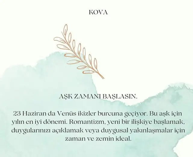 ven ikizler45 (12).webp