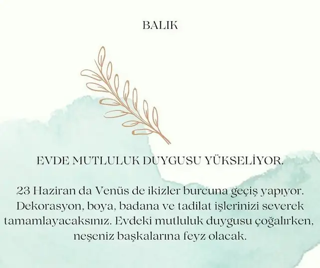 ven ikizler45 (13).webp