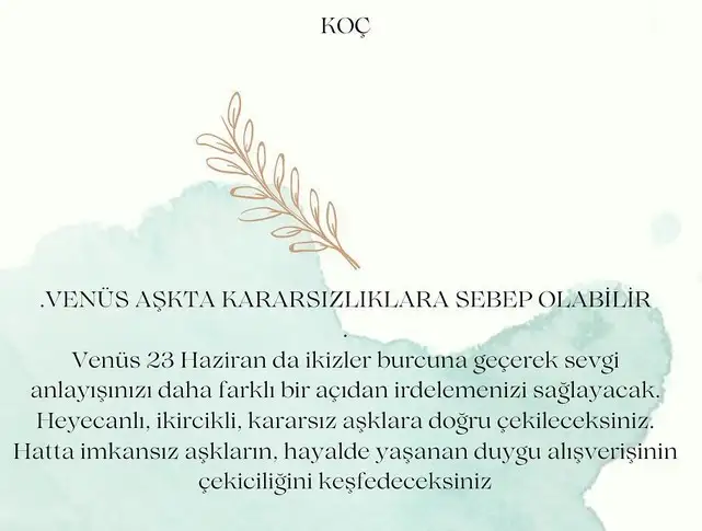 ven ikizler45 (2).webp