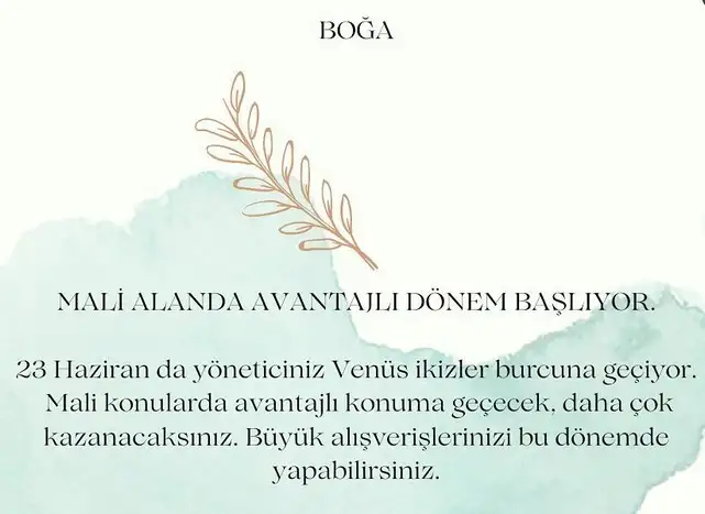 ven ikizler45 (3).webp