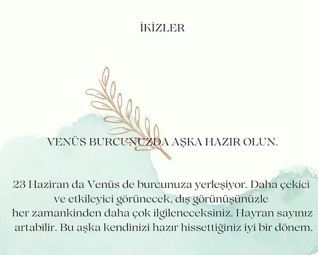 ven ikizler45 (4).webp