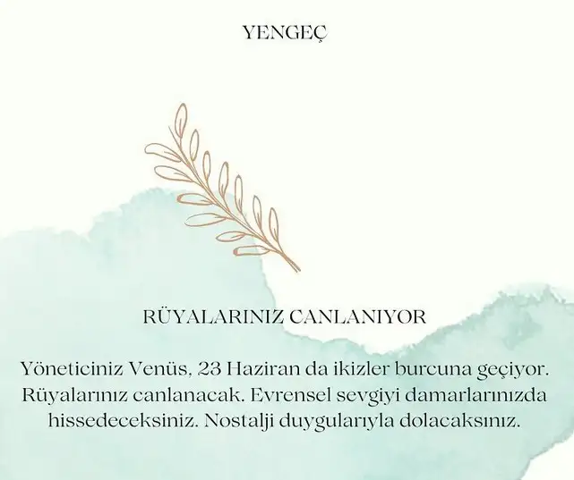ven ikizler45 (5).webp