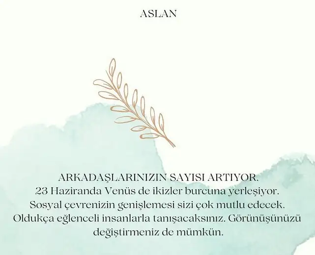 ven ikizler45 (6).webp