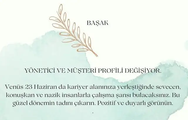 ven ikizler45 (7).webp