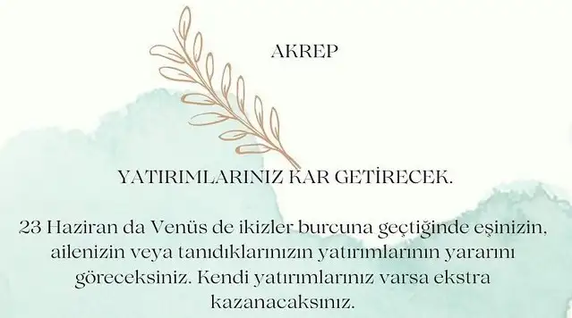 ven ikizler45 (9).webp