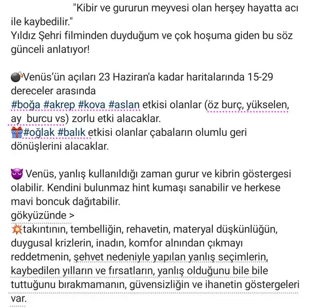ven ikizler90 (2).webp