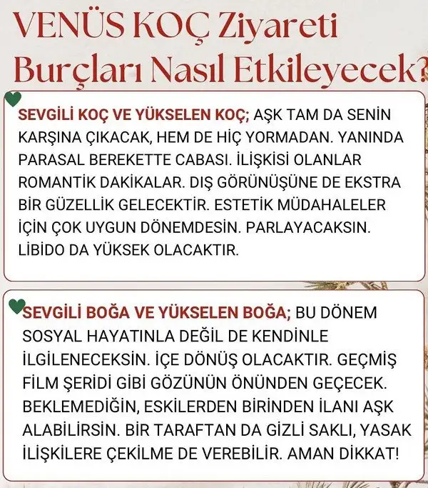 ven koç2 (1).webp