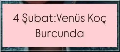 ven koç5 (11).webp