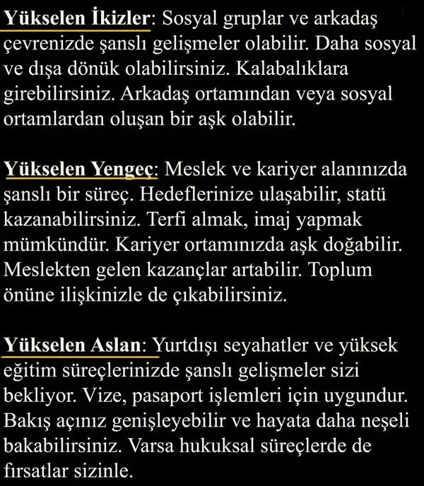ven koç5 (7).webp